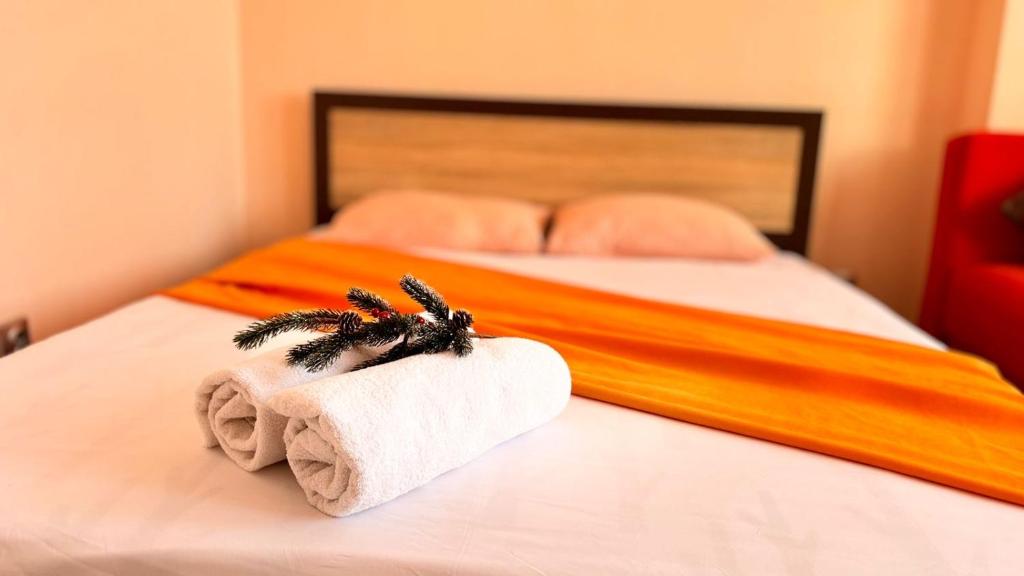 阿斯塔纳Светлая квартира , с видом на набережную.的酒店客房 - 带两张床和床上的毛巾