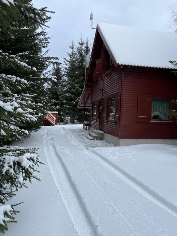 CiumaniKispatak Vendégház的一条雪覆盖的公路,靠近红房子