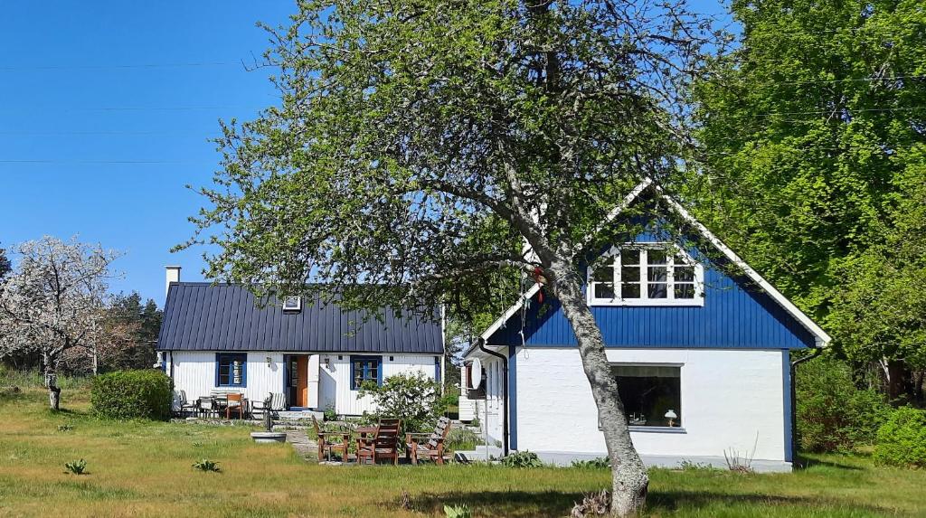 LöderupSandhammaren ,skåne的白色的房子,有蓝色的屋顶和一棵树