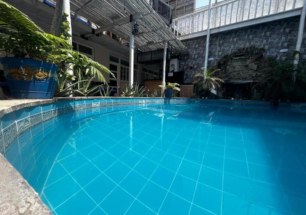 AricaPlaya Arica Backpackers的大楼里的一个大型蓝色游泳池