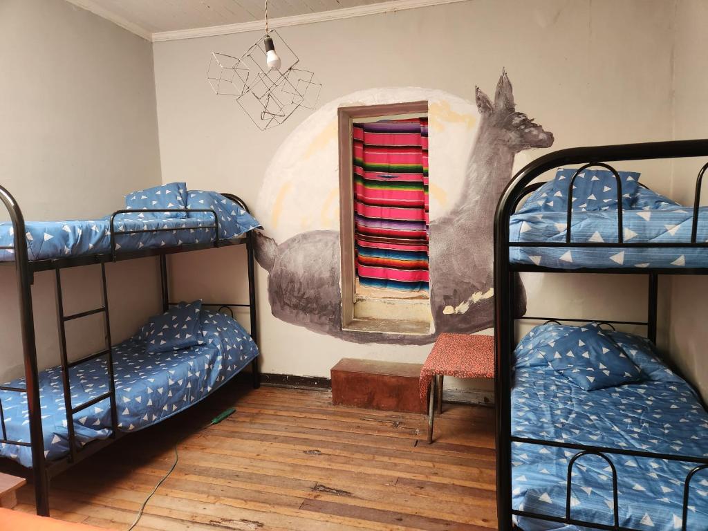 瓦尔帕莱索Hostal Casa Chincol的一间设有双层床的客房,装饰有鹿壁画