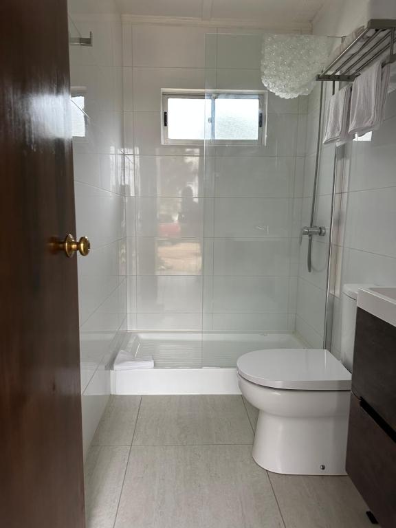 洛斯比洛斯American Hotel的白色的浴室设有卫生间和淋浴。