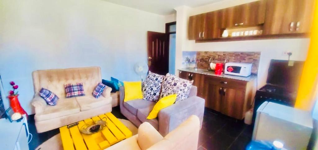 基苏木Beautiful and Affordable 1brm in Milimani的带沙发和电视的客厅