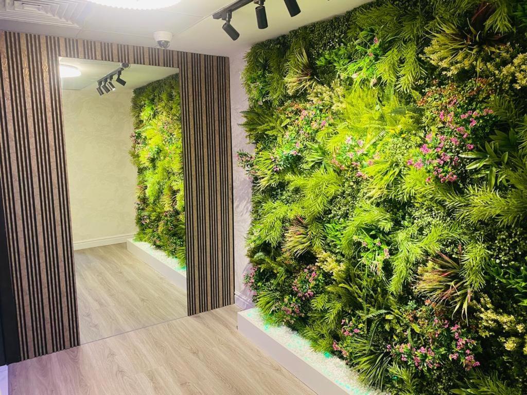 迪拜The Hosteller的绿墙、植物和鲜花的房间