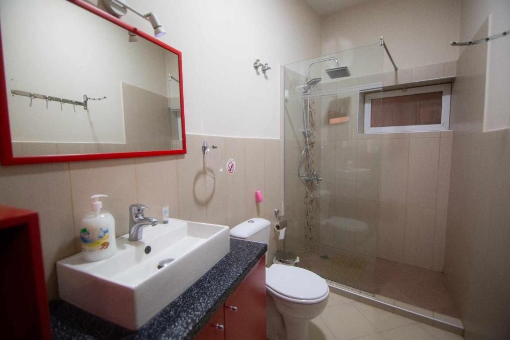 戈里察Villa Elezi 2的一间带水槽、淋浴和卫生间的浴室