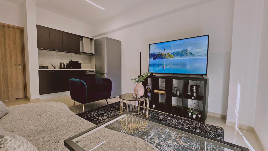 尼科西亚STAY Cosmo City Suites的带沙发和平面电视的客厅