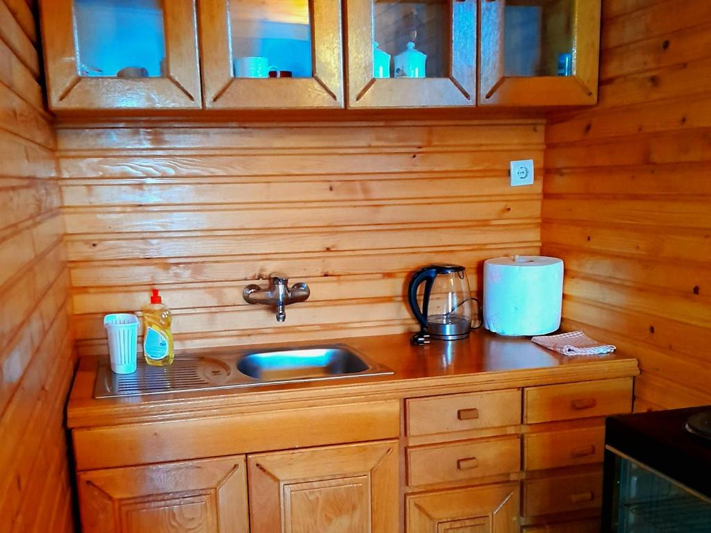 莫伊科瓦茨ECO ViLLAGE CORIC的小屋内的厨房台面,配有水槽