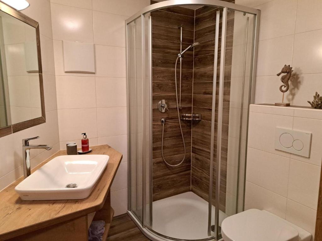 弗林肯贝格Apartment Alpina-1 by Interhome的带淋浴和盥洗盆的浴室