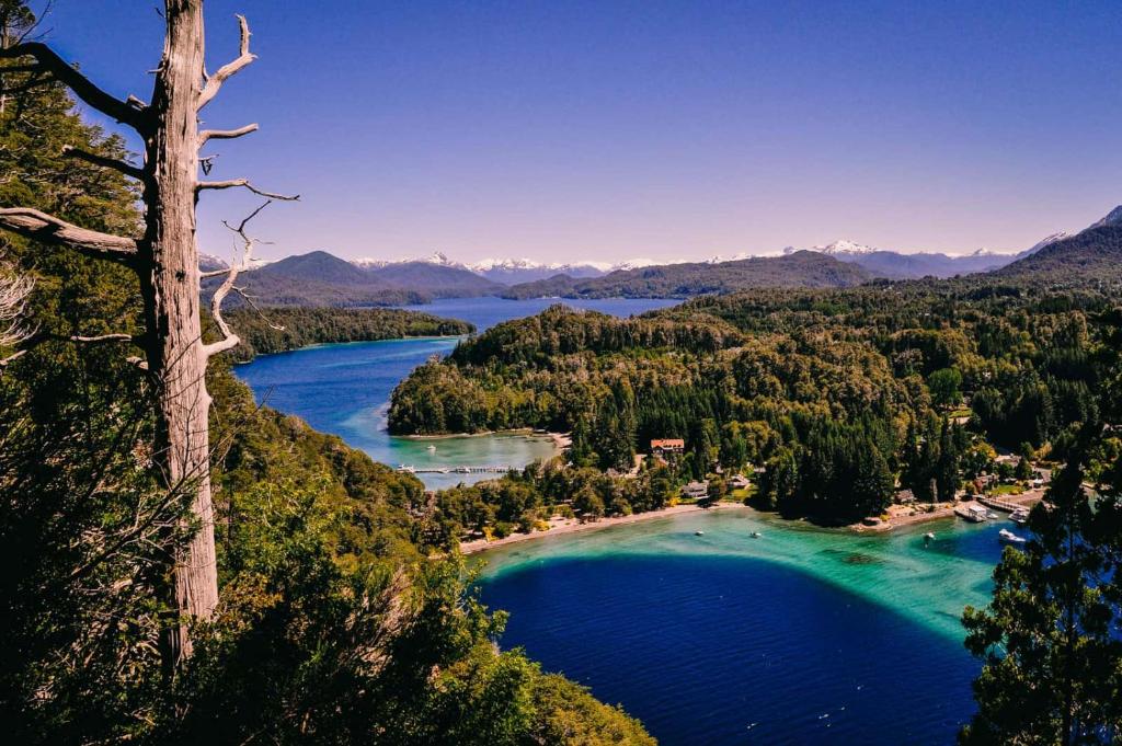 拉安戈斯图拉镇Hostería Epulén的享有湖泊的空中景致,并拥有树木和蓝色的海水