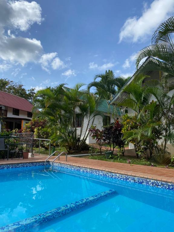 圣达菲Rainforest Yasmin Hotel的棕榈树屋前的游泳池