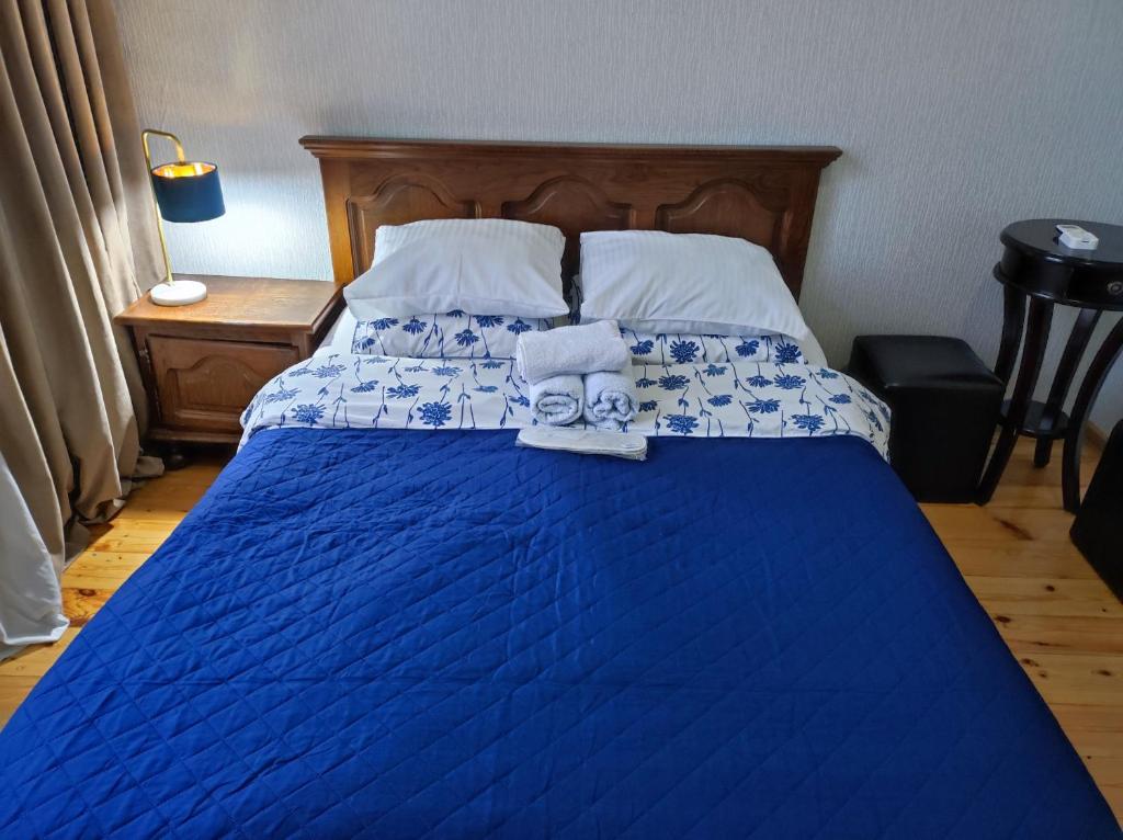 库塔伊西Friendly Guest House的一间卧室配有蓝色的床和毛巾