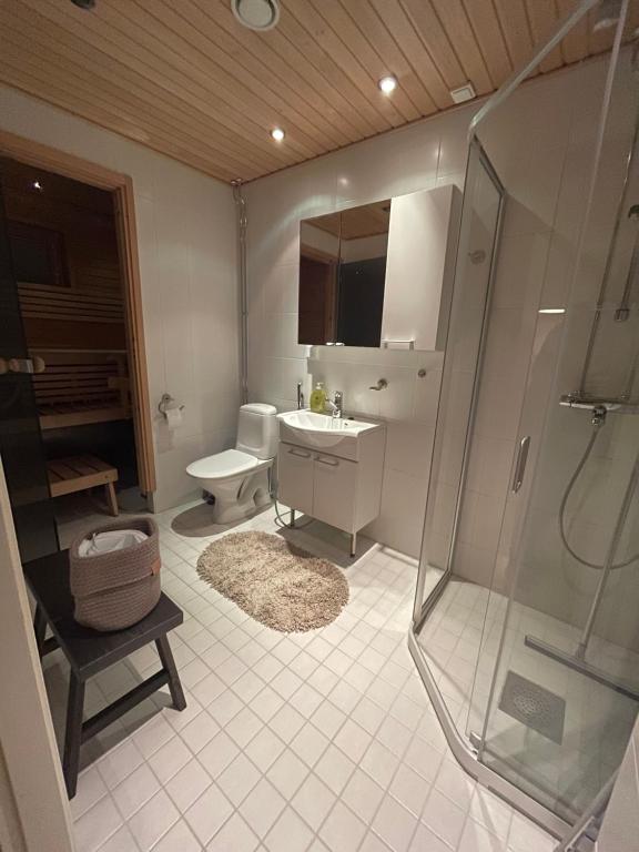 锡尔卡Levistar311的带淋浴、盥洗盆和卫生间的浴室