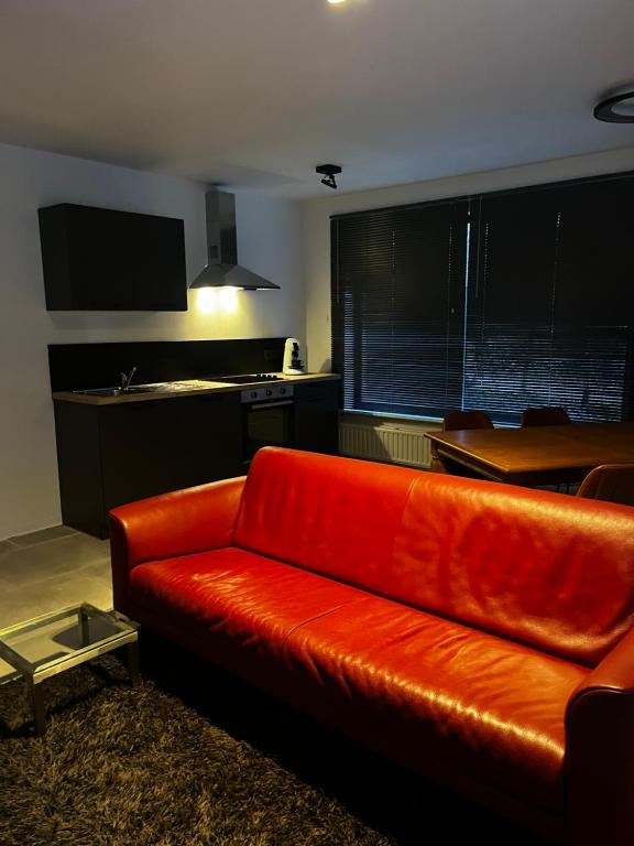 赫尔Budget Flex的客厅里设有一张红色的沙发,配有厨房