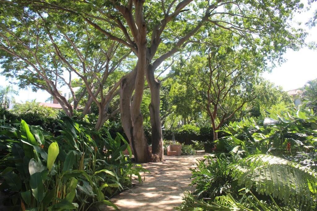 新巴利亚塔Villa Gardens, Beach Front (Santuarios de la bahia的花园中一棵树