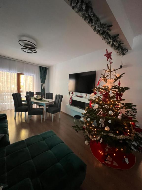 普雷代亚尔Agi’s Apartment Predeal的客厅里放着圣诞树
