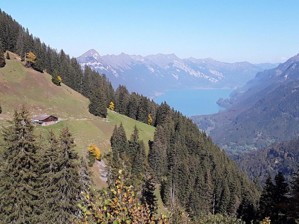 SaxetenDesAlpes的享有山谷、湖泊和山脉的美景。