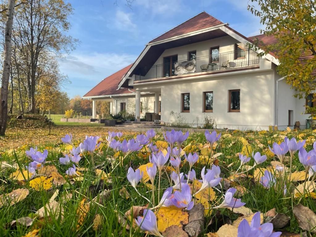 武克塔Ataraxia-Gledy的白色房子前方的紫色花田