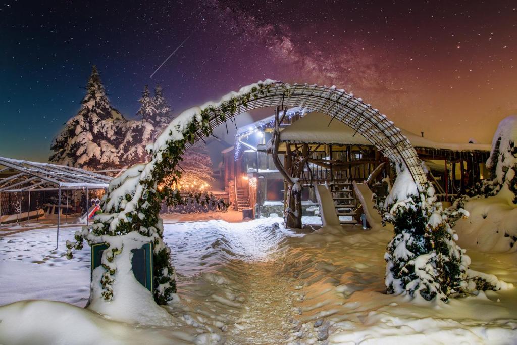 Malý SlavkovVeLa的夜间雪地里的过山车