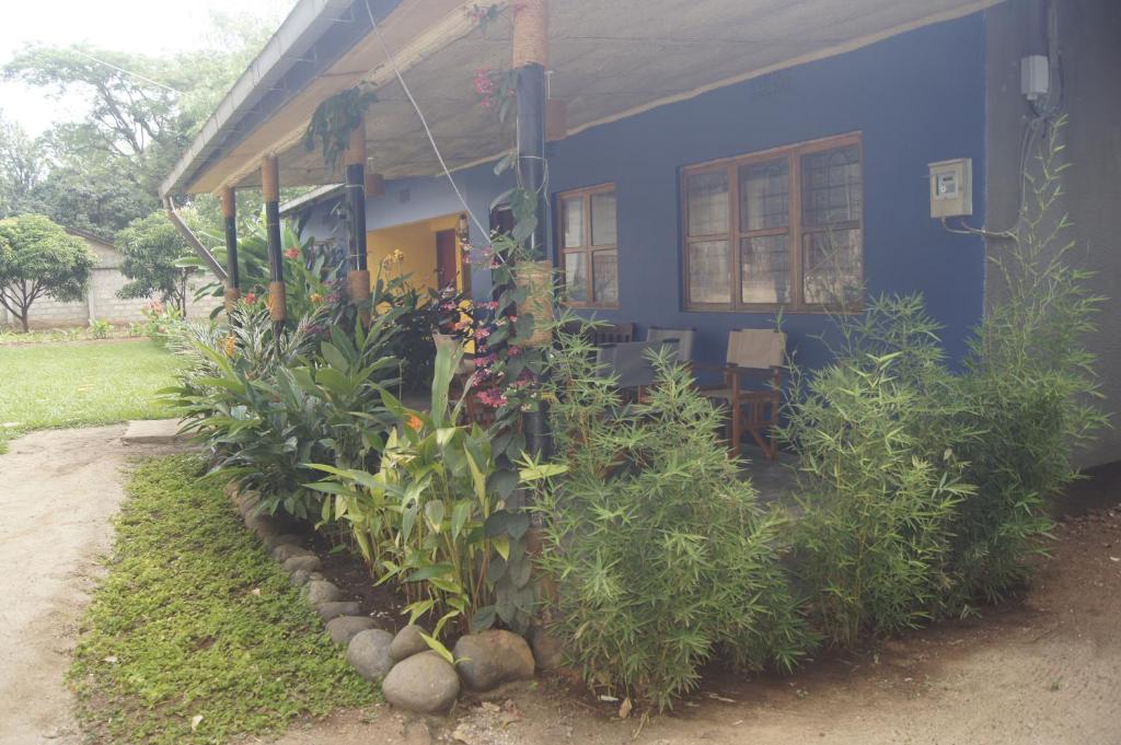 莫希Blue Cactus Shanty的前面有植物的蓝色房子