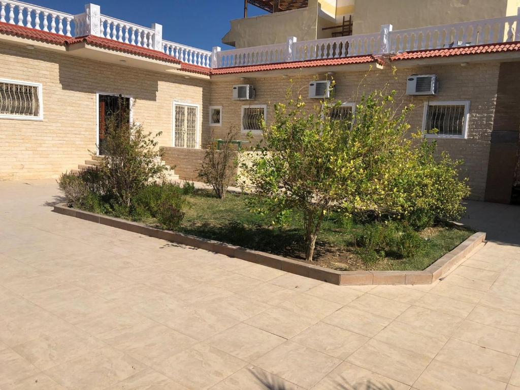 赫尔格达viola villa in magawish的庭院里树木繁茂的砖砌建筑