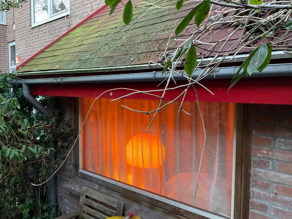 乌得勒支Tiny house for 2 with private garden的房屋窗户上的橙色物体