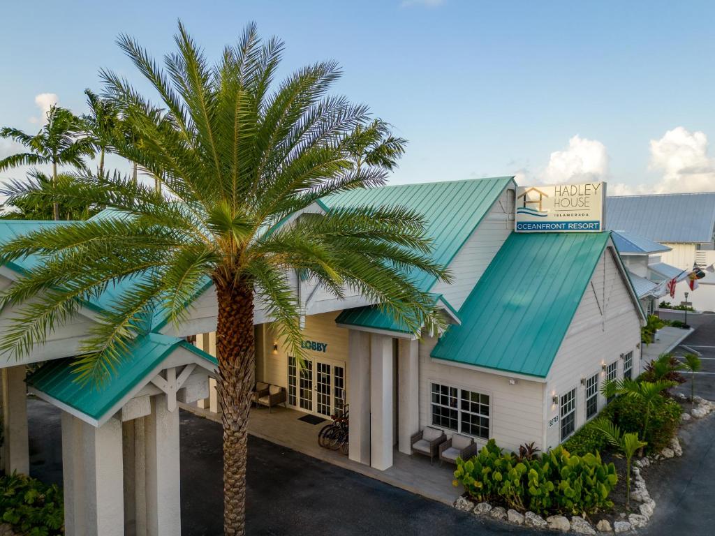 伊斯拉莫拉达Hadley Resort and Marina的酒店前的棕榈树