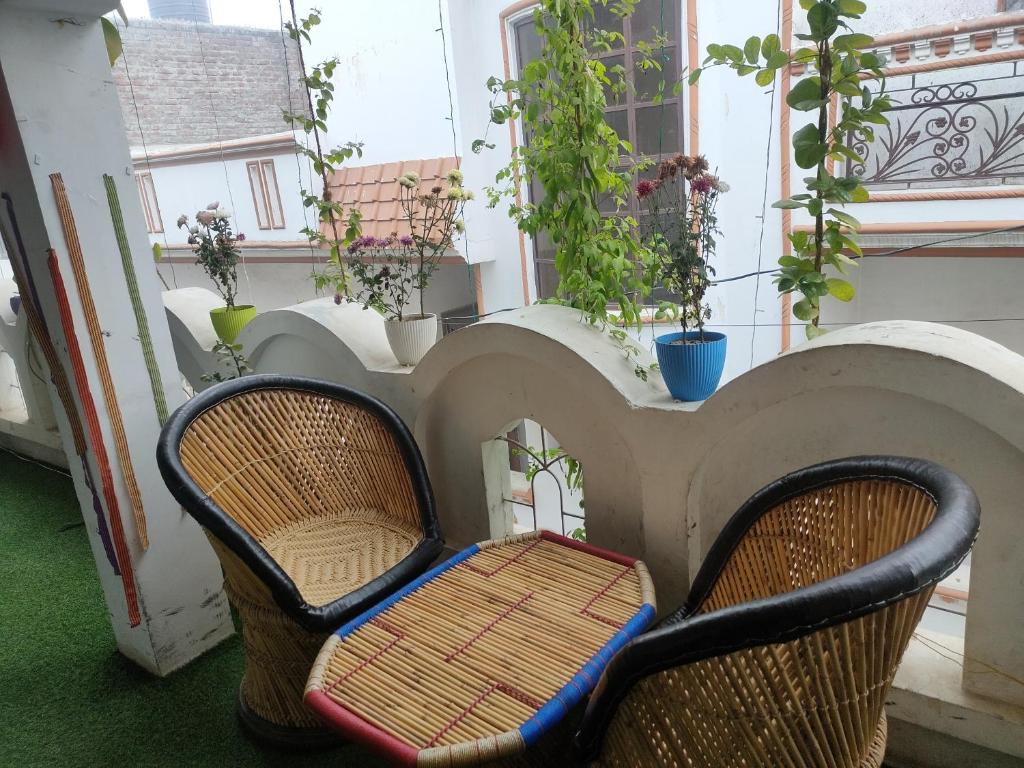 马图拉Manavi Home Stay的坐在植物阳台的椅子