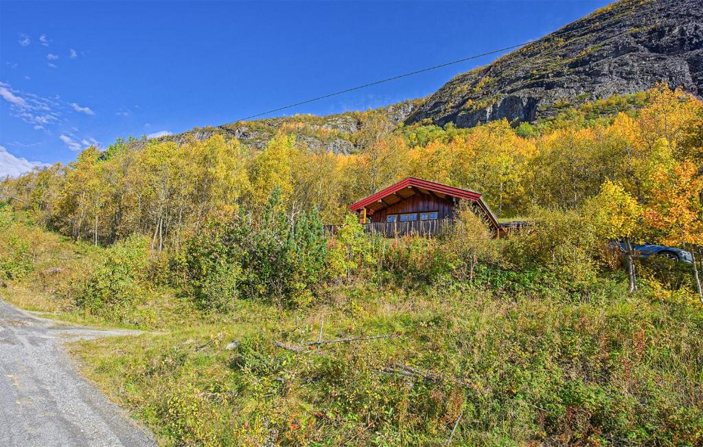 海姆瑟达尔Awesome Home In Hemsedal With Wifi的山坡上的小小屋,靠近一条道路