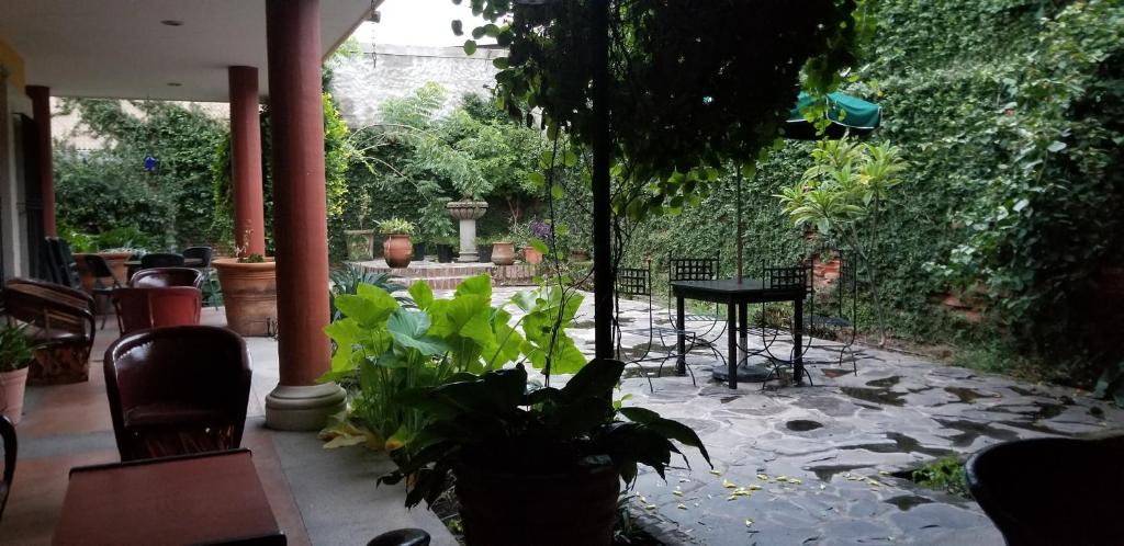 科利马Hotel Art Gallery Casona de los Milagros的一个带植物和桌子的庭院和一个花园