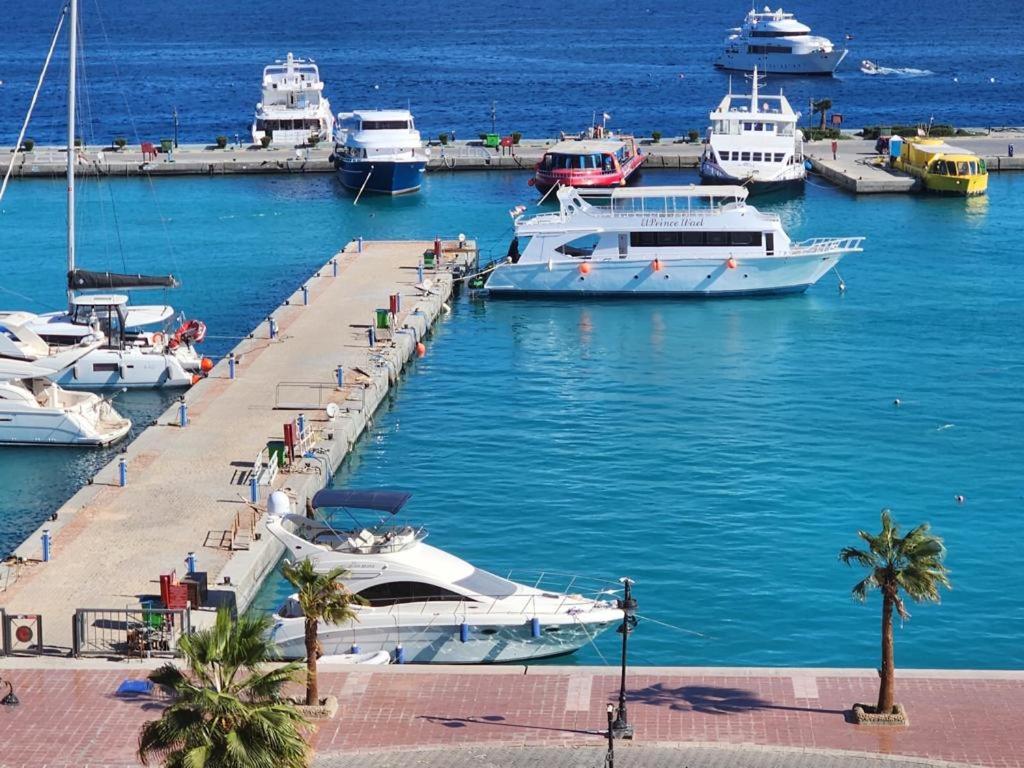 赫尔格达Hurghada Marina的一群船停靠在水面上的码头