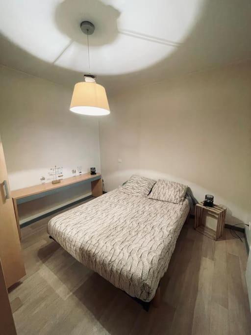 阿热莱斯加佐斯特Appartement en centre ville的一间卧室配有一张床和吊扇
