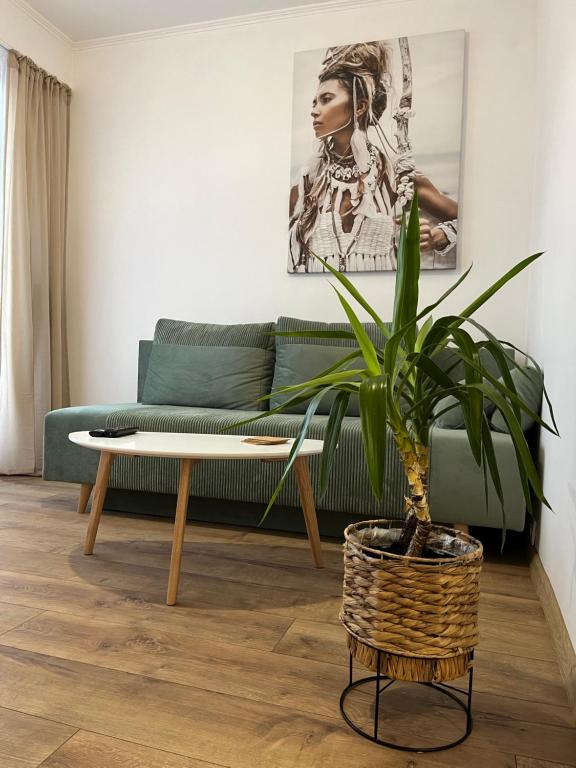 托伦Apartament Rubinowy的客厅配有绿色沙发和盆栽植物