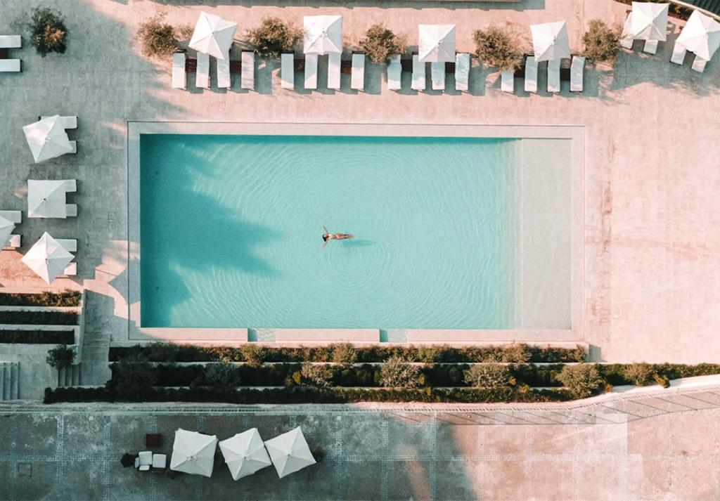 拉梅戈兰莫格酒店的在大型游泳池游泳的人