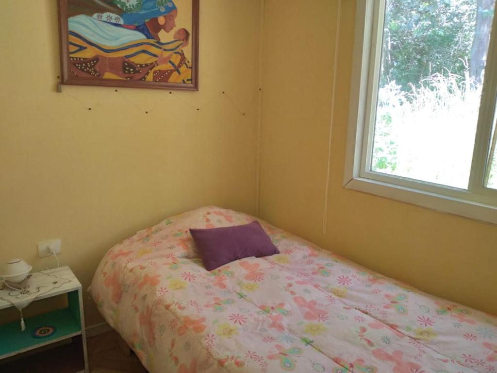PitrufquénDonde la Euli的一间卧室配有一张带紫色枕头的床
