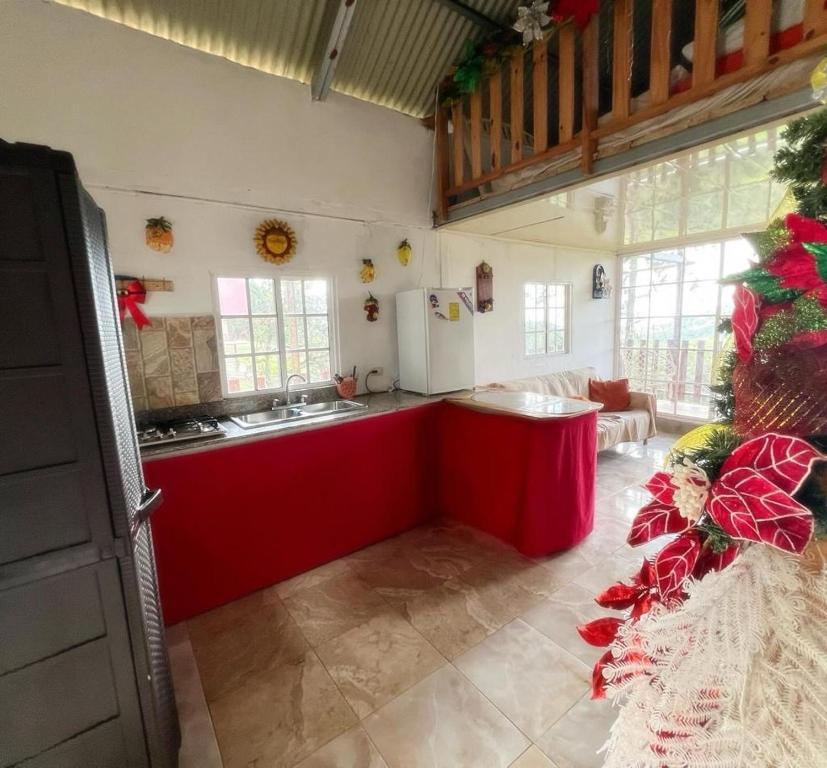 ChepoCABAÑAS EL CHEPO的一间室内厨房,里面有一个红色的岛屿