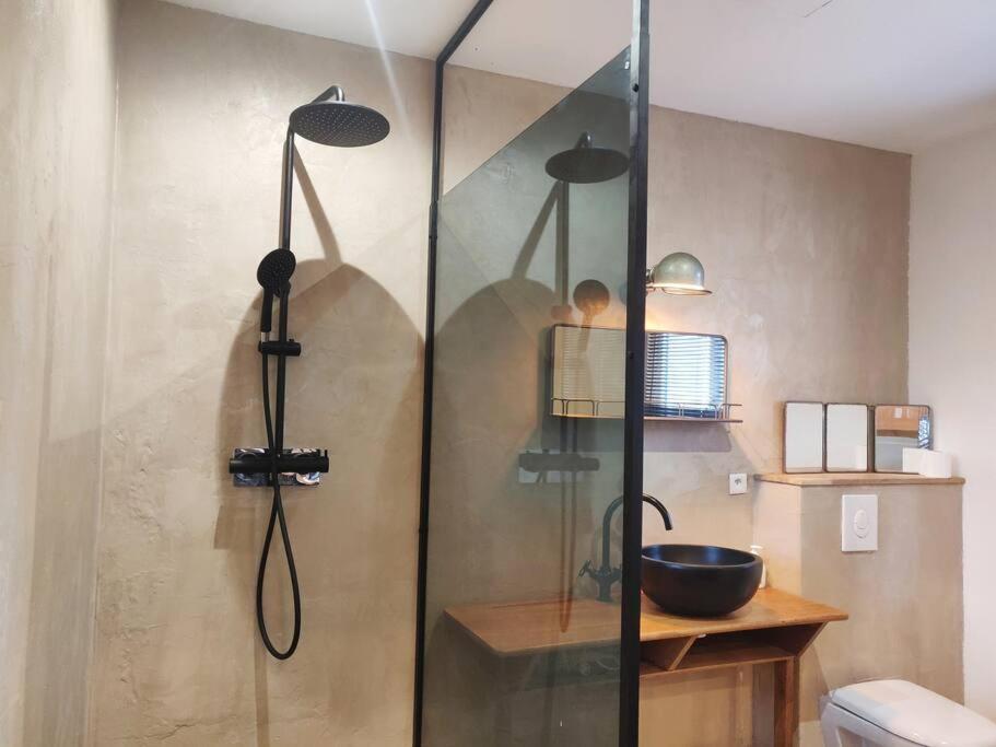 Chailly-en-BièreAdorable maisonnette proche Fontainebleau/Barbizon的浴室里设有玻璃门淋浴