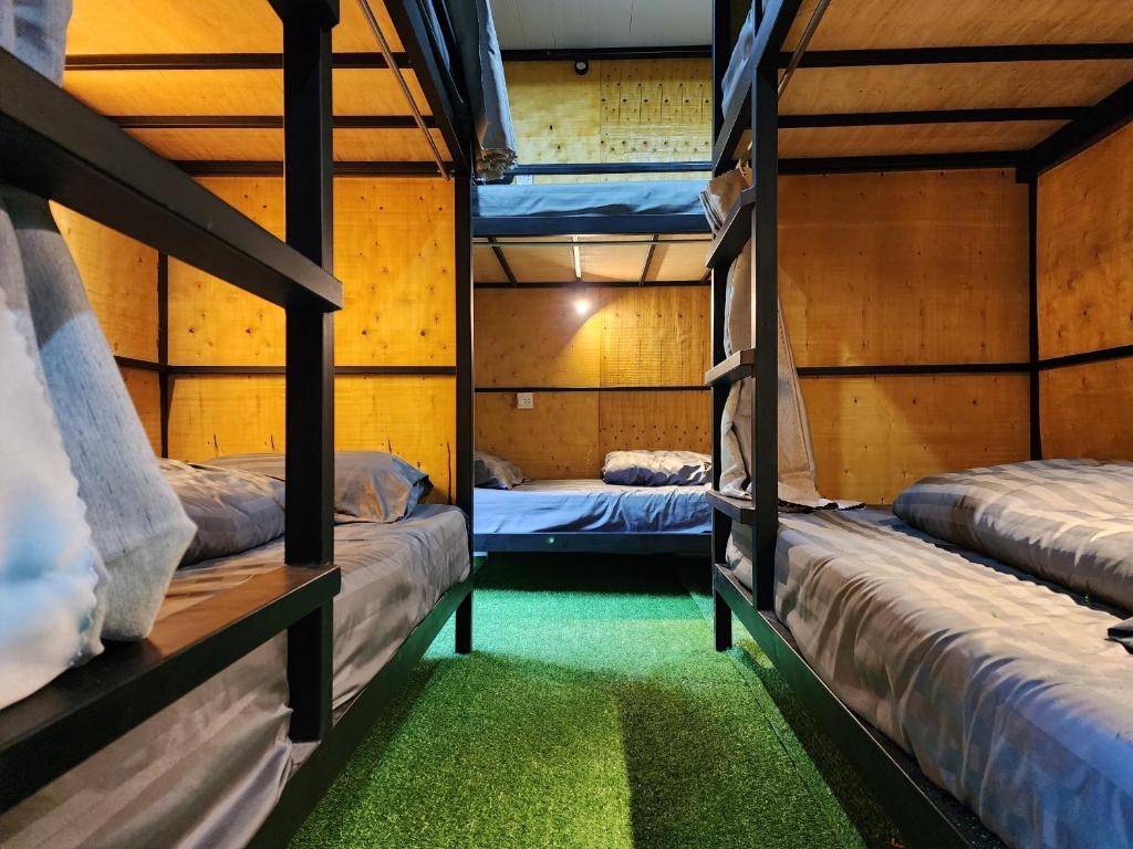 通萨拉The 10 club hostel的绿色地毯间内的两张双层床