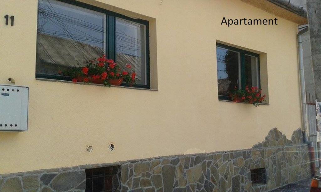 图尔达卡普提旅馆的两扇窗户,两扇窗户在建筑的一侧,有红色的鲜花