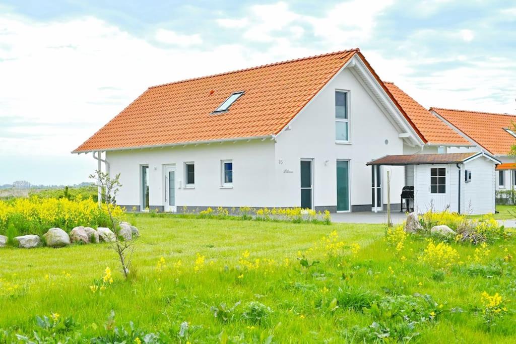 特伦特Villa Strandgut的一座白色的房子,在田野上有一个橙色的屋顶