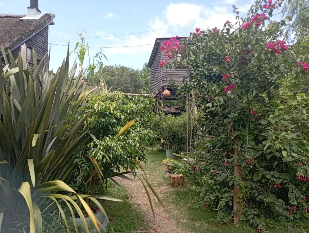 巴拉德瓦利扎斯Nature Hostel的一座种有粉红色花卉的花园