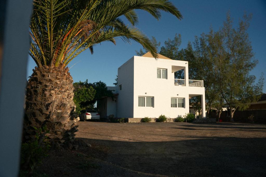 拉哈雷斯La Milagrosa Surf House & CoWork的白色房子前面的棕榈树