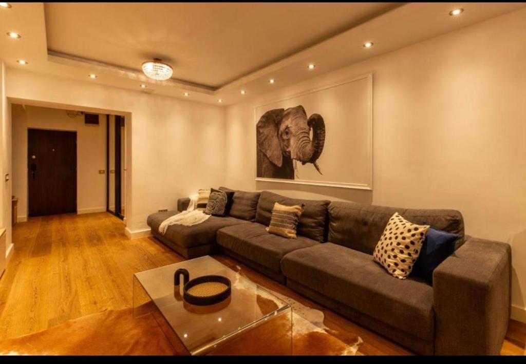 布加勒斯特Downtown Oasis Unirii Apartment的客厅配有沙发和大象绘画