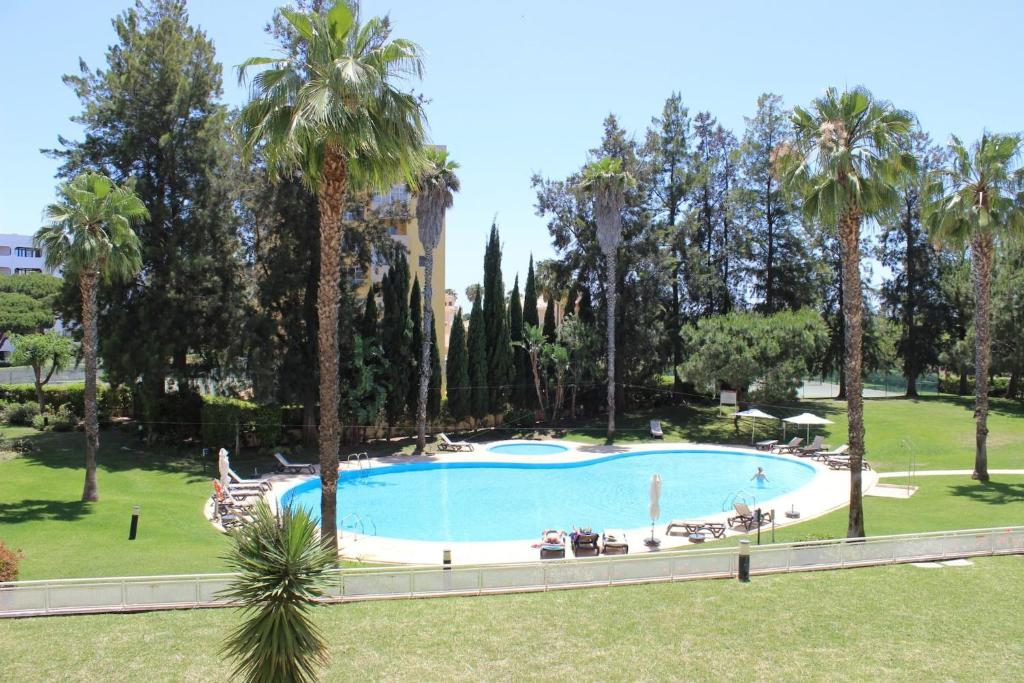 维拉摩拉Da Praia Apartment - Pool & Tenis的棕榈树公园里的一个大型游泳池