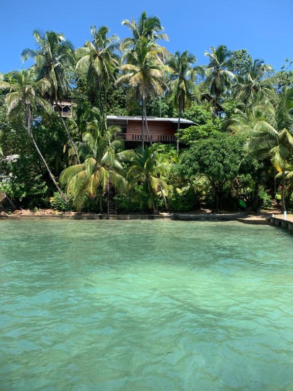 巴斯蒂门多斯ECO House with Sea View的棕榈树海滩上的房子