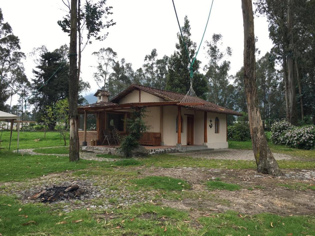 奥塔瓦洛Cabaña Rumiwasi Imbabura的树木林立的小房子