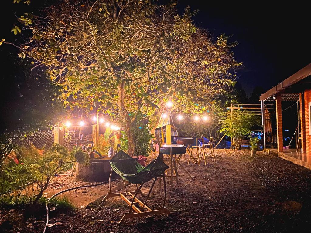吉仙Cat Tien Backpackers Hostel的夜间带椅子和灯的花园