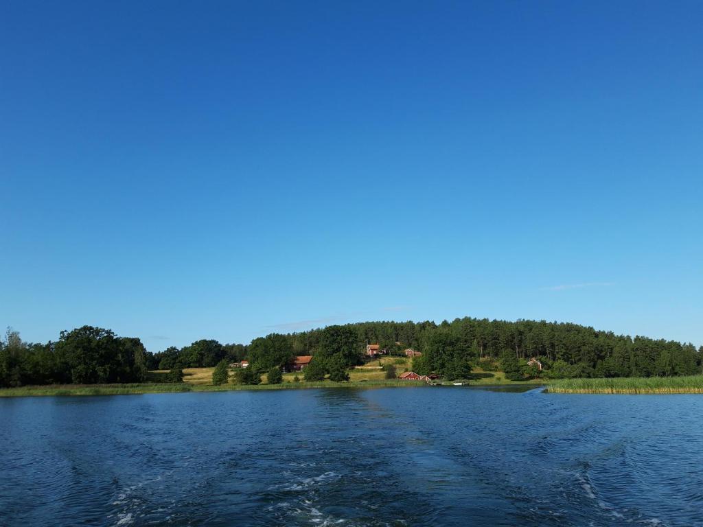 EdsbrukGärdsholmens Skärgårdshemman "Eken"的享有背景树木的湖泊美景