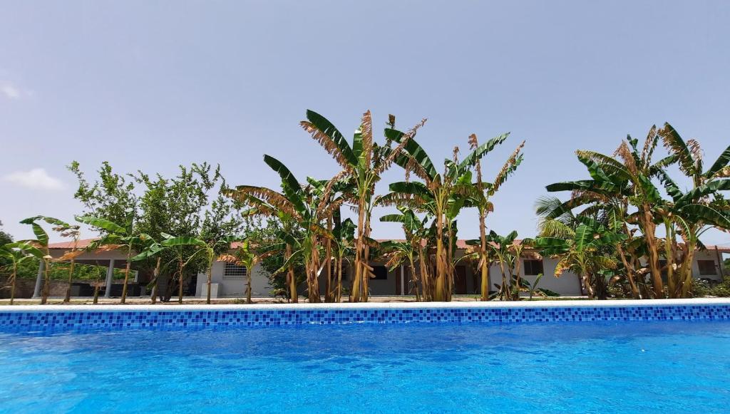 ToubakoutaChez Nous Chez Vous的一座棕榈树环绕的游泳池