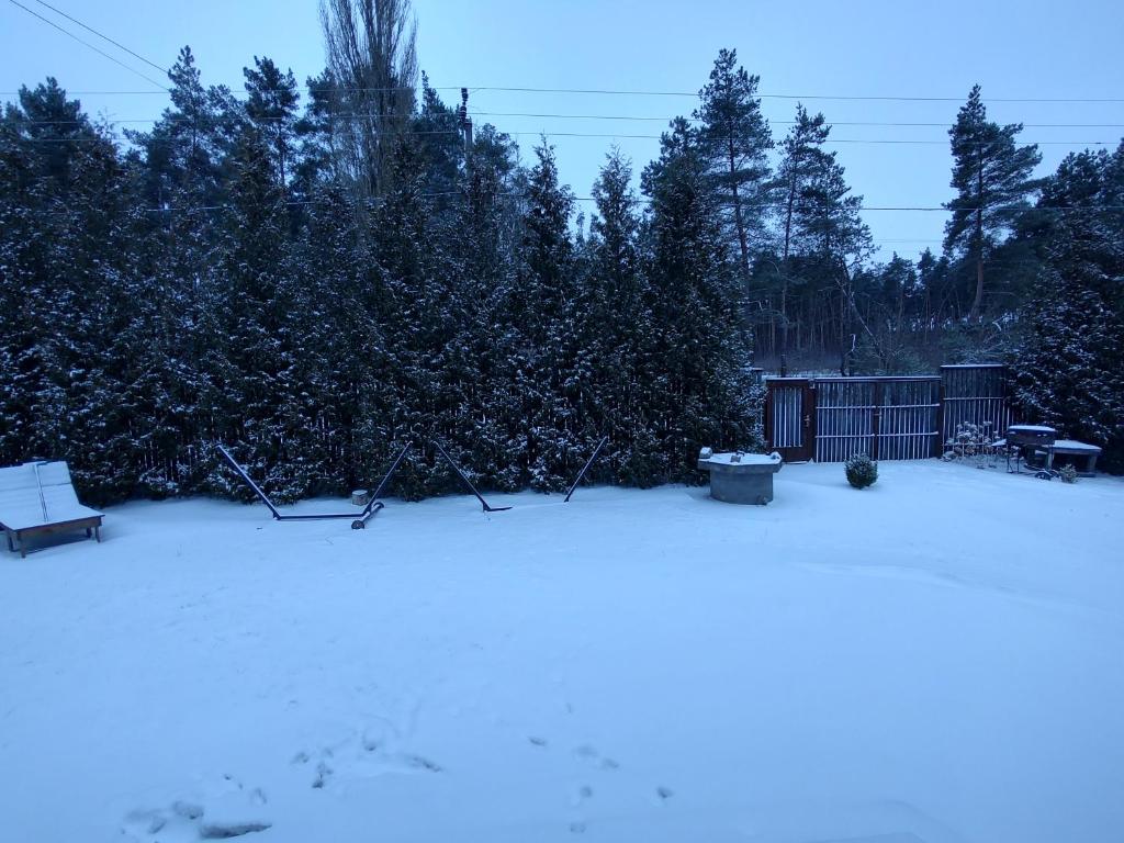Bovkunсадиба доличі的雪覆盖的院子,有栅栏和树木