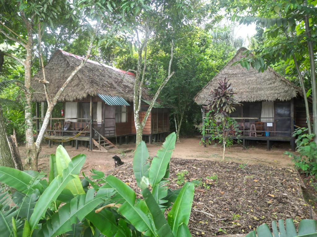 马尔多纳多港塔波帕塔河住宿加早餐旅馆的树林里的房子,前面有鸟